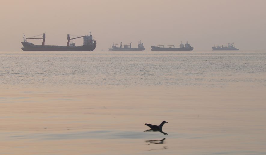 A bird flies low over the water as cargo ships lie at anchor in the Strait of Hormuz off Bandar Abbas, Iran, early Saturday, Oct. 24, 2026. (Amirhosein Khorgooi/ISNA via AP)