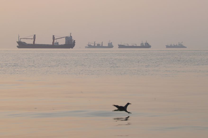 A bird flies low over the water as cargo ships lie at anchor in the Strait of Hormuz off Bandar Abbas, Iran, early Saturday, Oct. 24, 2026. (Amirhosein Khorgooi/ISNA via AP)