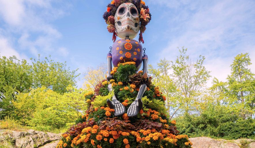 This image provided by the New York Botanical Garden shows a traditional marigold-adorned La Catrina sculpture on display during the site's Dia de los Muertos celebration in the Bronx borough of New York on Sept. 29, 2026. (New York Botanical Garden via AP)
