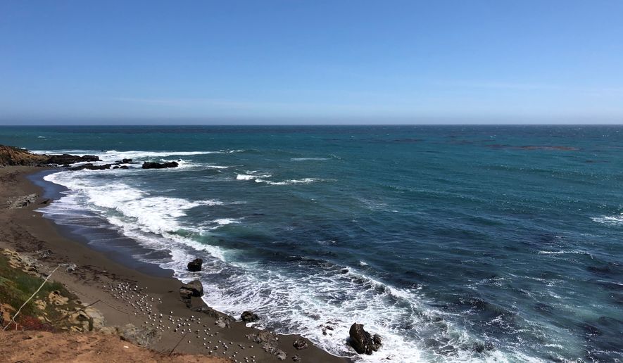 A fisherman ended up in the waters off the coast of California after his kayak capsized Monday. Local officials suspect a shark was the culprit. The fisherman, unnamed publicly, was about a mile offshore from Leffingwell Landing in Cambria, California, about 171 miles southeast of San Francisco on Monday morning when something hit the underside of his kayak, the Cambria Fire Department said on social media. (blam-o via Shutterstock)