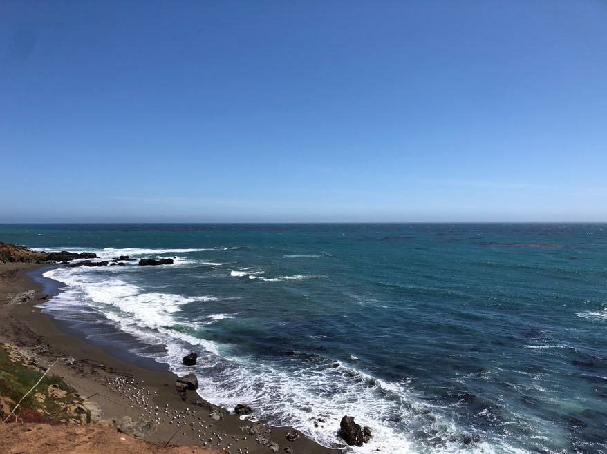 A fisherman ended up in the waters off the coast of California after his kayak capsized Monday. Local officials suspect a shark was the culprit. The fisherman, unnamed publicly, was about a mile offshore from Leffingwell Landing in Cambria, California, about 171 miles southeast of San Francisco on Monday morning when something hit the underside of his kayak, the Cambria Fire Department said on social media. (blam-o via Shutterstock)