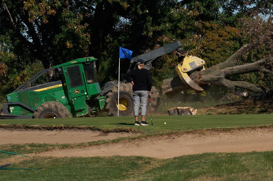 A golfer watches as trees are removed at East Potomac Park Golf Course, Monday, Oct. 26, 2026, in Washington. (AP Photo/Julia Demaree Nikhinson)