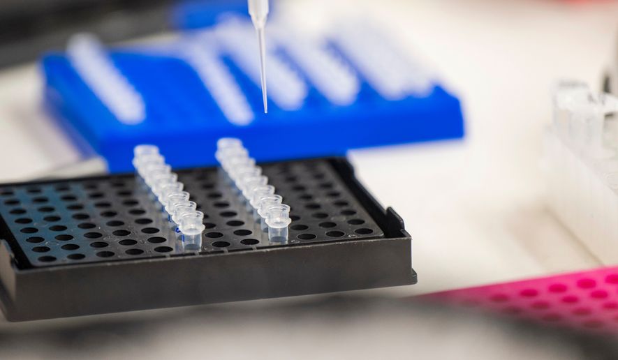 A lab technician prepares DNA samples for analysis in San Jose, Calif., July 22, 2024. (AP Photo/Nic Coury, File)