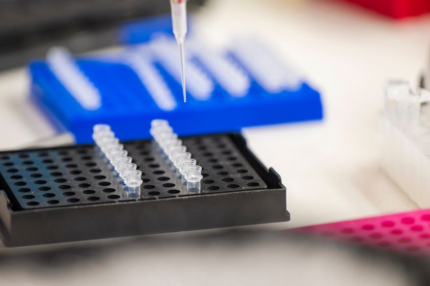 A lab technician prepares DNA samples for analysis in San Jose, Calif., July 22, 2024. (AP Photo/Nic Coury, File)