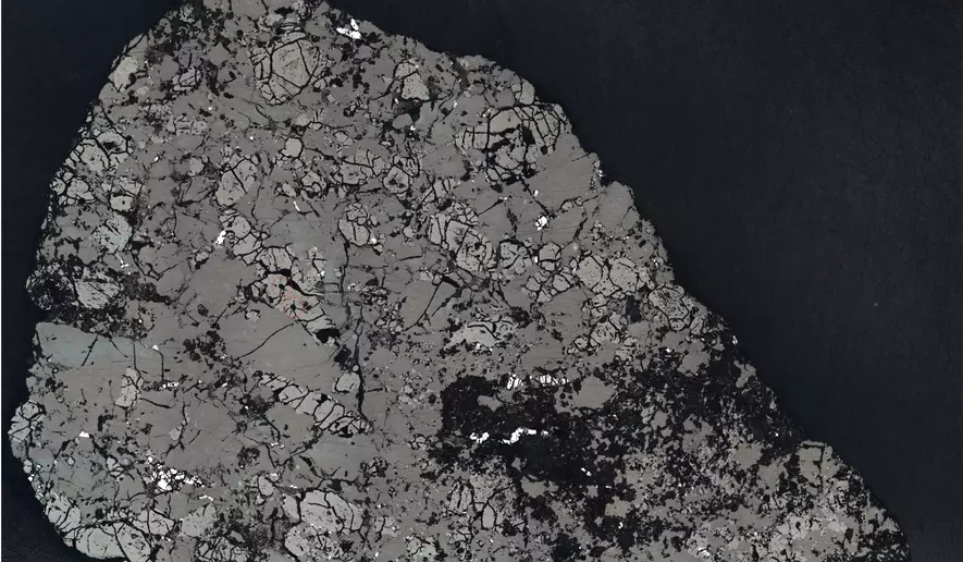 A slice of Teghaza 001, a Martian meteorite, was used to study its mineralogy and chemistry. The meteorite was found in Mali in 2022. (Credit: NASA/JPL-Caltech)
