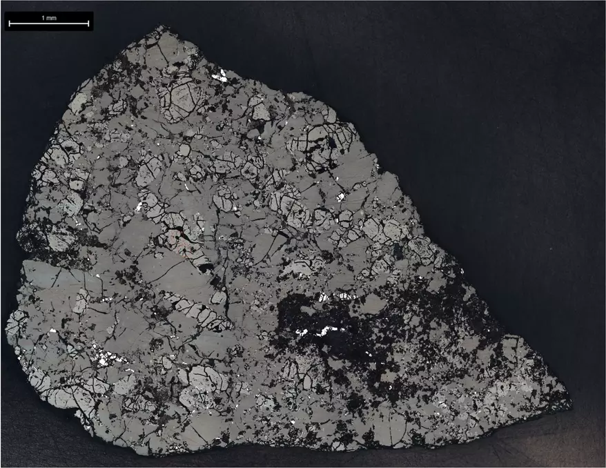 A slice of Teghaza 001, a Martian meteorite, was used to study its mineralogy and chemistry. The meteorite was found in Mali in 2022. (Credit: NASA/JPL-Caltech)