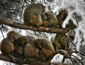 cp-WT200810714504656AR.jpg}