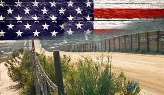 Winning Immigration at the Grassroots: Defeating amnesty and restoring common sense